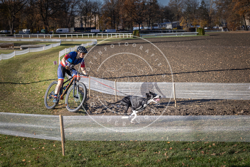 CaniXpix_DV3A3922 | Hundefotografie, Tierfotograf, Pfotenfotografie, Fotoshooting Hund, Hunde Portrait, Hundesport, Hundeportraits, Heideshooting, Hunde, Sportfotograf, Hundefotograf, Turnierhundsport, THS,  - Realisiert mit Pictrs.com