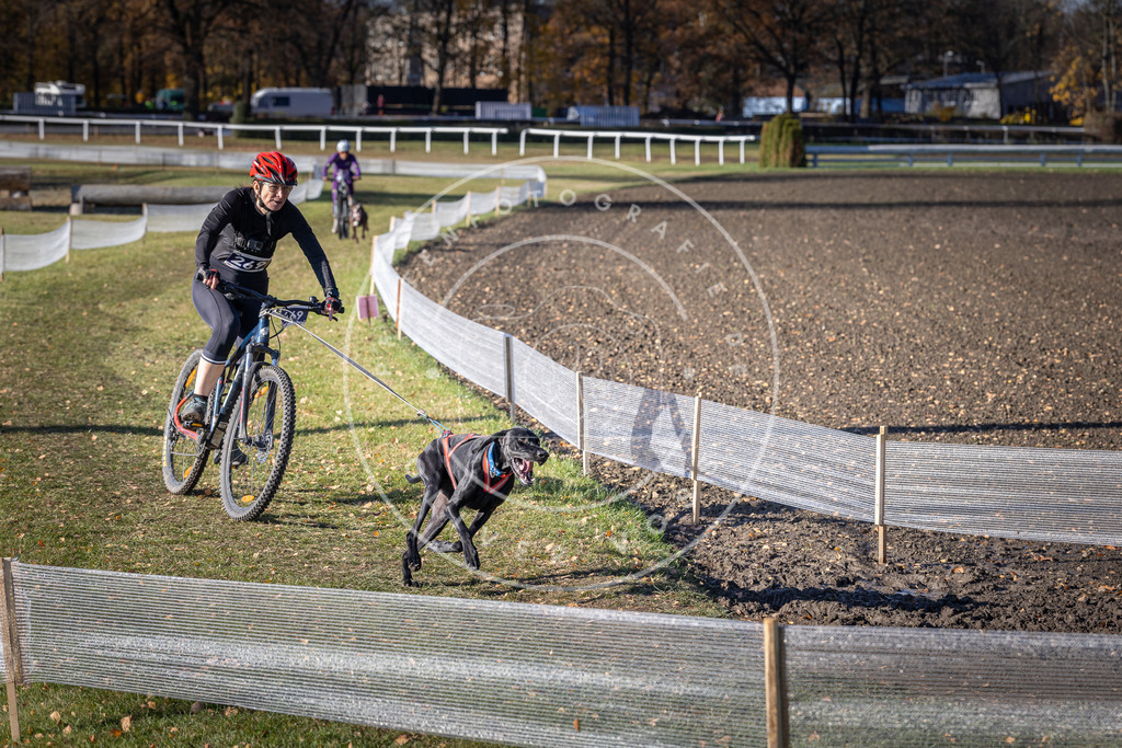 CaniXpix_DV3A5131 | Hundefotografie, Tierfotograf, Pfotenfotografie, Fotoshooting Hund, Hunde Portrait, Hundesport, Hundeportraits, Heideshooting, Hunde, Sportfotograf, Hundefotograf, Turnierhundsport, THS,  - Realisiert mit Pictrs.com