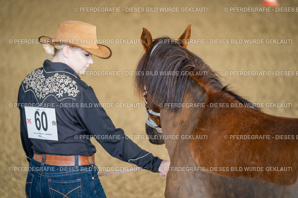 DSC07480 | Pferdegrafie