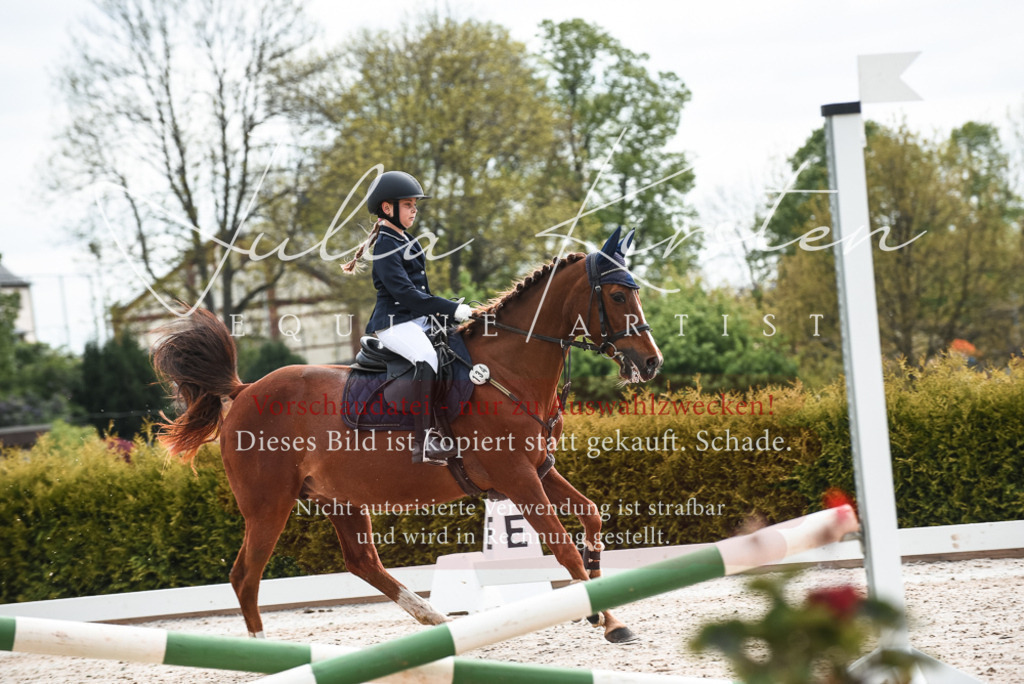 20230518_JK-Röhrsdorf-10-032 | Pferde- und Turnierfotografie in Westsachsen. Pferdeportraits, Auftragszeichnungen und intuitive Kunst.