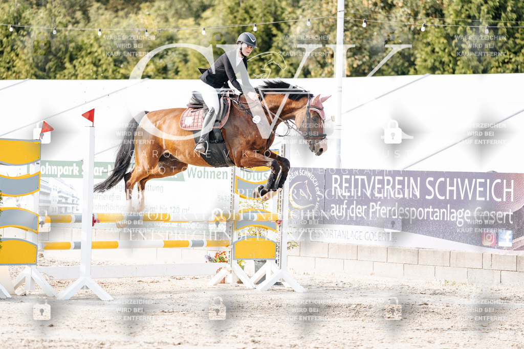 CK906788 | Turnierfotografie Pferdefotografie Trier Rheinland-Pfalz Pferdesport Reitsport Tierfotografie Sportfotografie Pferdevideo Pferdevideografie Equestrianvideography equestrianphotography  - Realisiert mit Pictrs.com