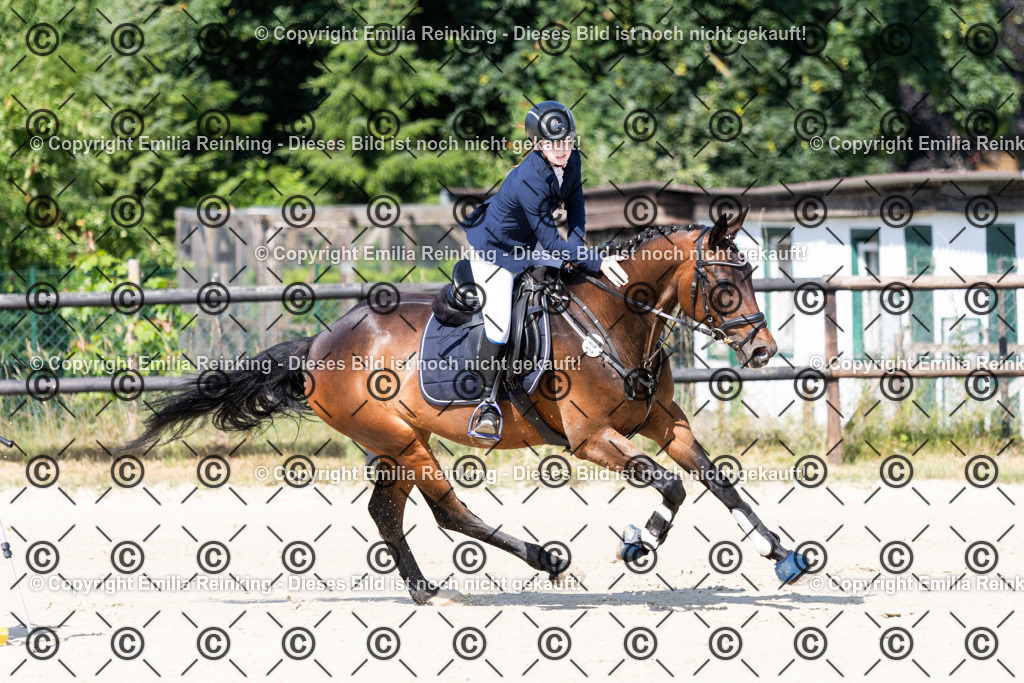 CL5A6506 | Emilia Reinking Fotografie - Realisiert mit Pictrs.com