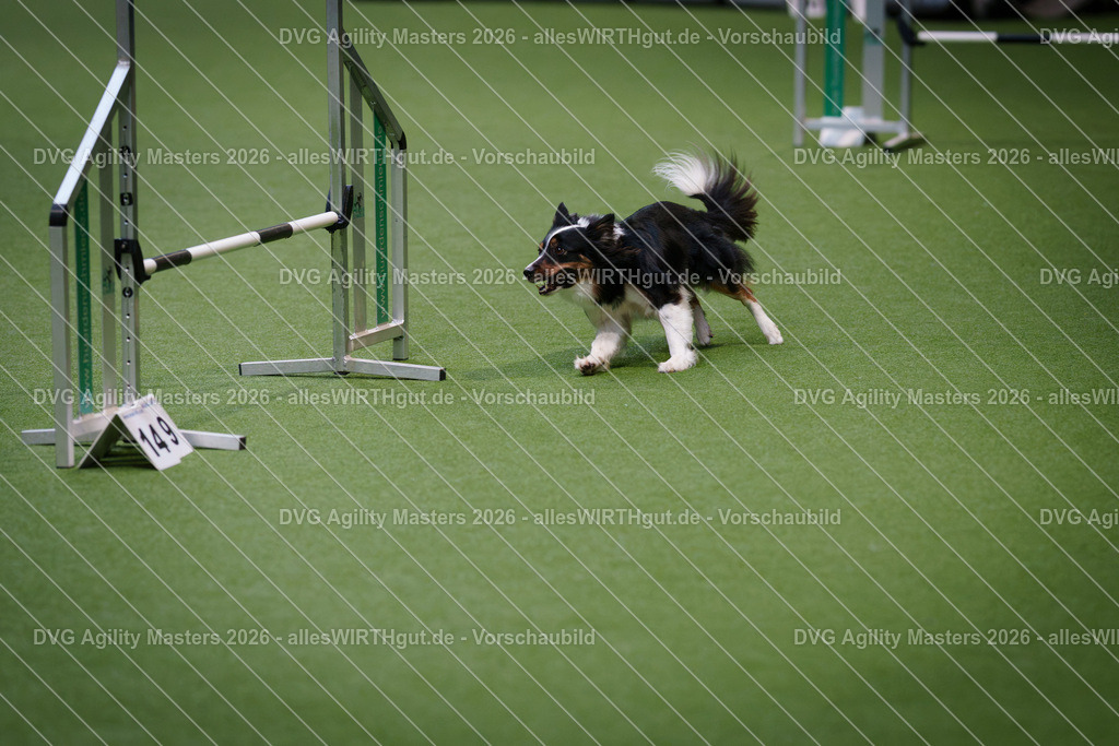 allesWIRTHgut_Tierfotografie-DVG_Agility_Masters_2026-08_36-7R500915 | Professionelle Tierfotografie in Mönchengladbach von Daniel Wirth (allesWIRTHgut). Liebevolle & natürliche Bilder von Hunden & Katzen für unvergessliche Erinnerungen.