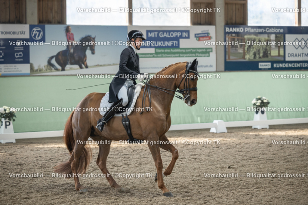 _D5A4598 | Emotionale Pferde- & People-Fotografie rund um Heidelberg, Leimen & Umgebung. Natürliche Fotos von Pferd, Mensch & Familie. Jetzt Termin sichern!