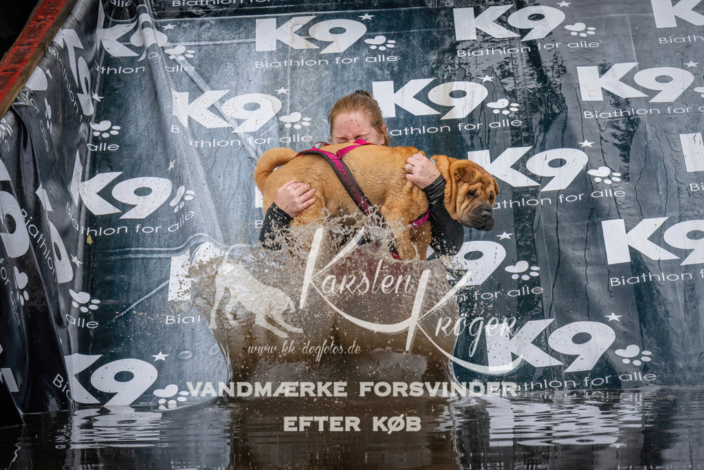 1206_ZZ94320 | kk-dogfotos