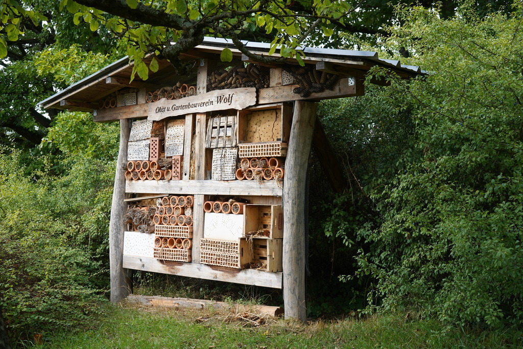 Insektenhotel - Wolf | Mit Holz, Röhren und weiteren Materialien bietet die große Anlage in Wolf vielfältige Unterschlupfmöglichkeiten für Insekten.Etwas versteckt im Grünen befindet sich in Wolf ein vom Obst- und Gartenbauverein gestaltetes Insektenhotel. Verschiedene Naturmaterialien und zahlreiche kleine Hohlräume bieten Insekten geschützte Nist- und Rückzugsmöglichkeiten. Ein schlichtes Holzschild weist den Weg zu dem naturnah angelegten Bereich. Ganz in der Nähe lädt eine rustikale Sitzgruppe unter einem alten Obstbaum dazu ein, eine Pause einzulegen und die Umgebung in Ruhe zu genießen. - Realisiert mit Pictrs.com