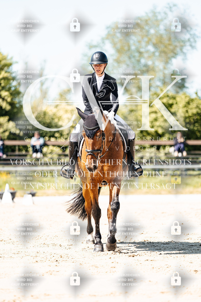 CK905258 | Turnierfotografie Pferdefotografie Trier Rheinland-Pfalz Pferdesport Reitsport Tierfotografie Sportfotografie Pferdevideo Pferdevideografie Equestrianvideography equestrianphotography  - Realisiert mit Pictrs.com