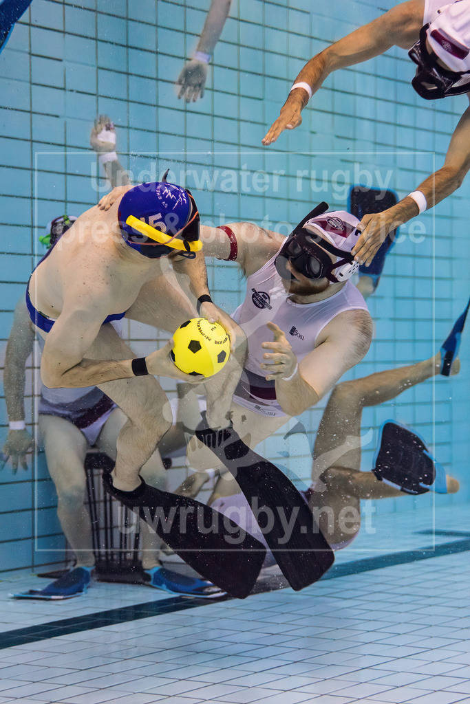 Deutsche Meisterschaft im Unterwasser-Rugby 2023 - Unterwasser-Bild 11 | Vorrunde: SV Rheine (blau) gegen Sportaucher Berlin (weiß) - Realisiert mit Pictrs.com