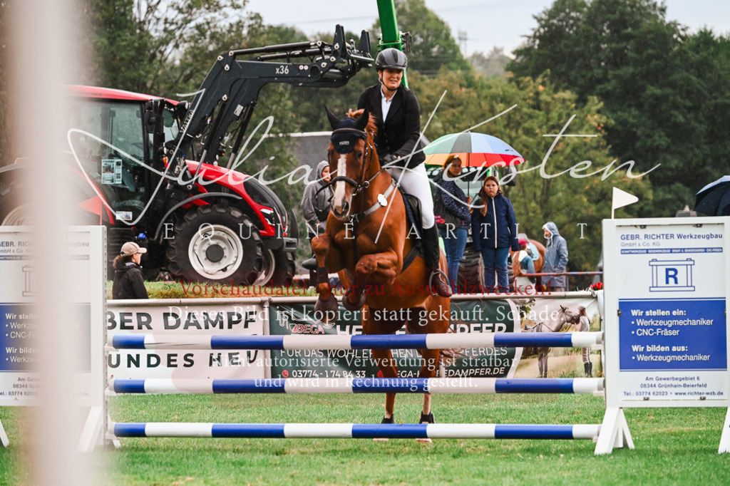 DSC_6433 | Pferde- und Turnierfotografie in Westsachsen. Pferdeportraits, Auftragszeichnungen und intuitive Kunst.