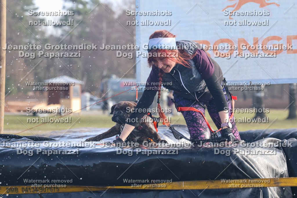 Dog Paparazzi - Strongdog North Mrz26-539 | Dog Paparazzi Jeanette Grottendiek Fotografie & Videografie - Realisiert mit Pictrs.com