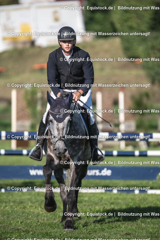 20230908_14-15_Springpferde-A_0022 | equistock