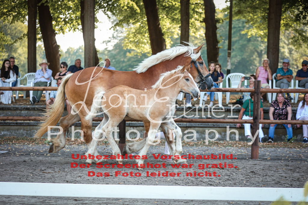 FrKHF00047 | Leoni Ertmer Photography - Realisiert mit Pictrs.com
