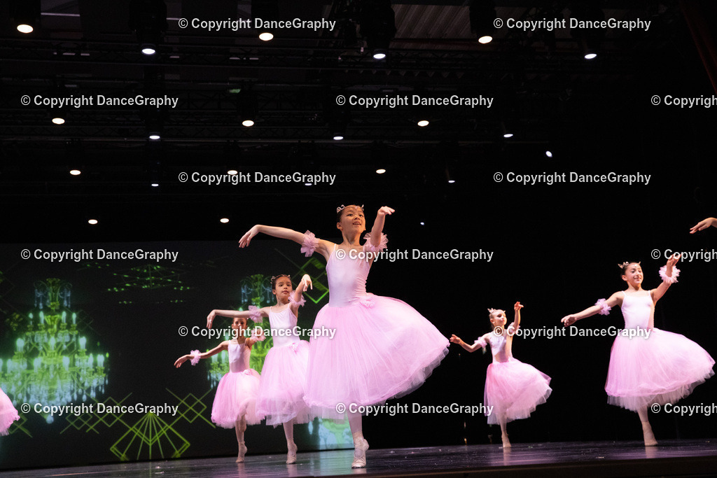 GPHY6731 | DanceGraphy - Realisiert mit Pictrs.com