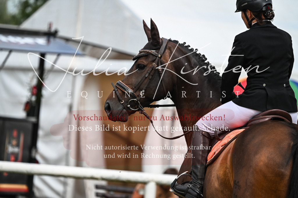 DSC_8272 | Pferde- und Turnierfotografie in Westsachsen. Pferdeportraits, Auftragszeichnungen und intuitive Kunst.
