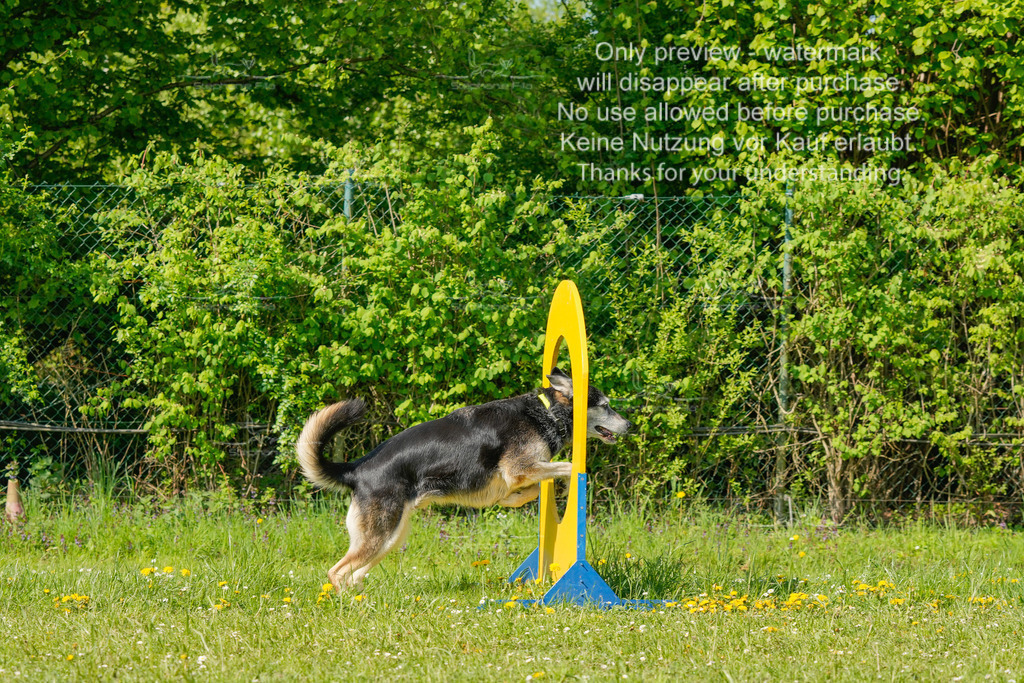 Sa_SprintVK_Gr2_03-43 | stephaniefillaphotographie - Realisiert mit Pictrs.com