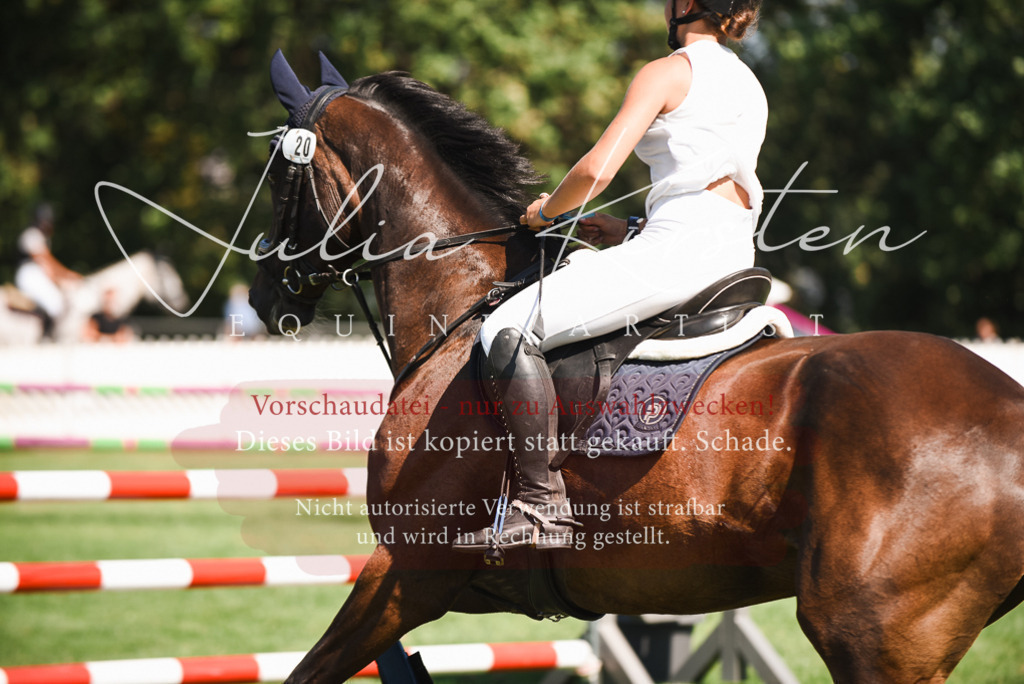 DSC_2859 | Pferde- und Turnierfotografie in Westsachsen. Pferdeportraits, Auftragszeichnungen und intuitive Kunst.