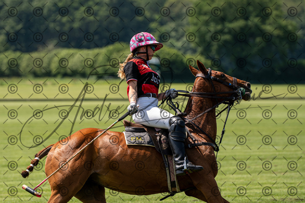 POL_2176 | andre_photographic