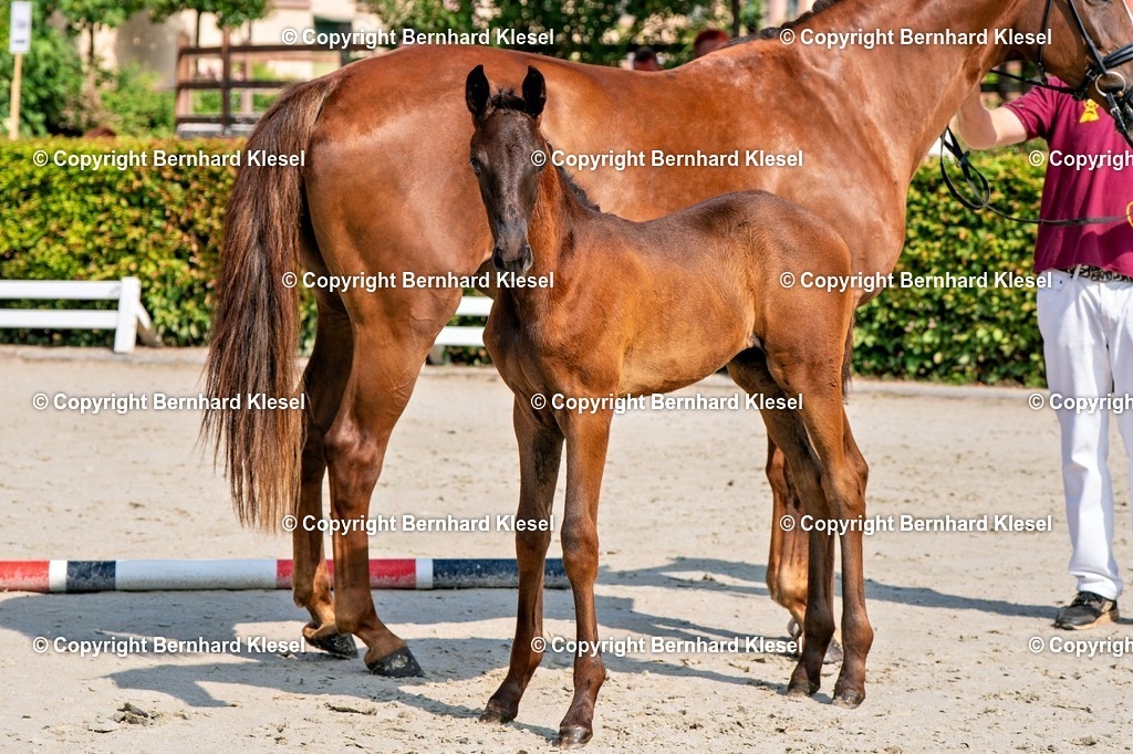 2A908849 | foto-team-bernhard - Realisiert mit Pictrs.com