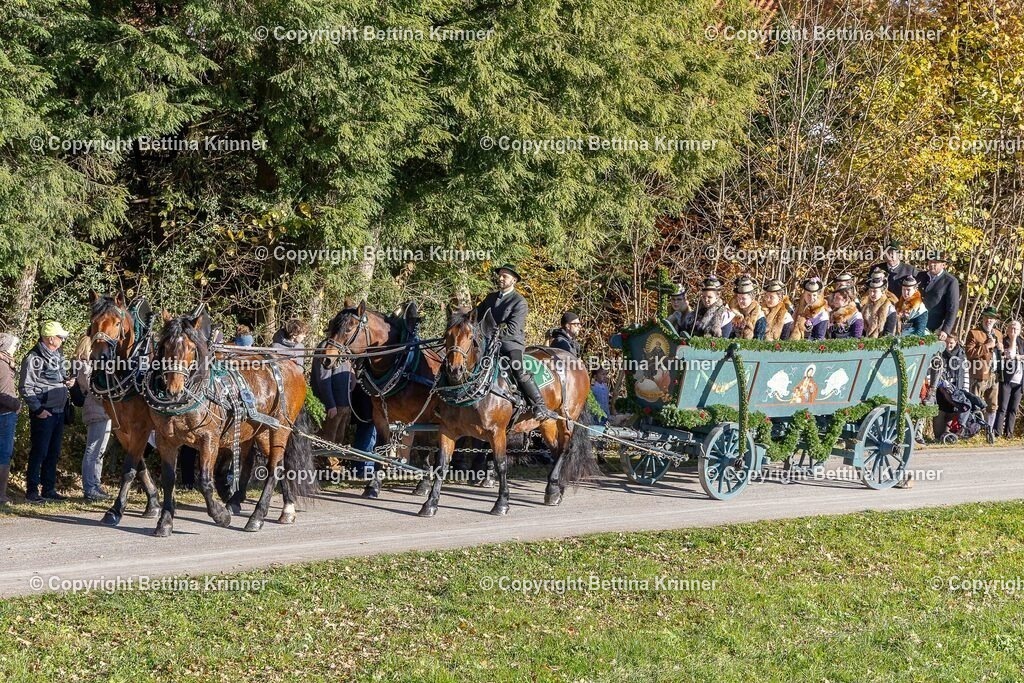 LBT25-268 | foto-bettina-krinner - Realisiert mit Pictrs.com