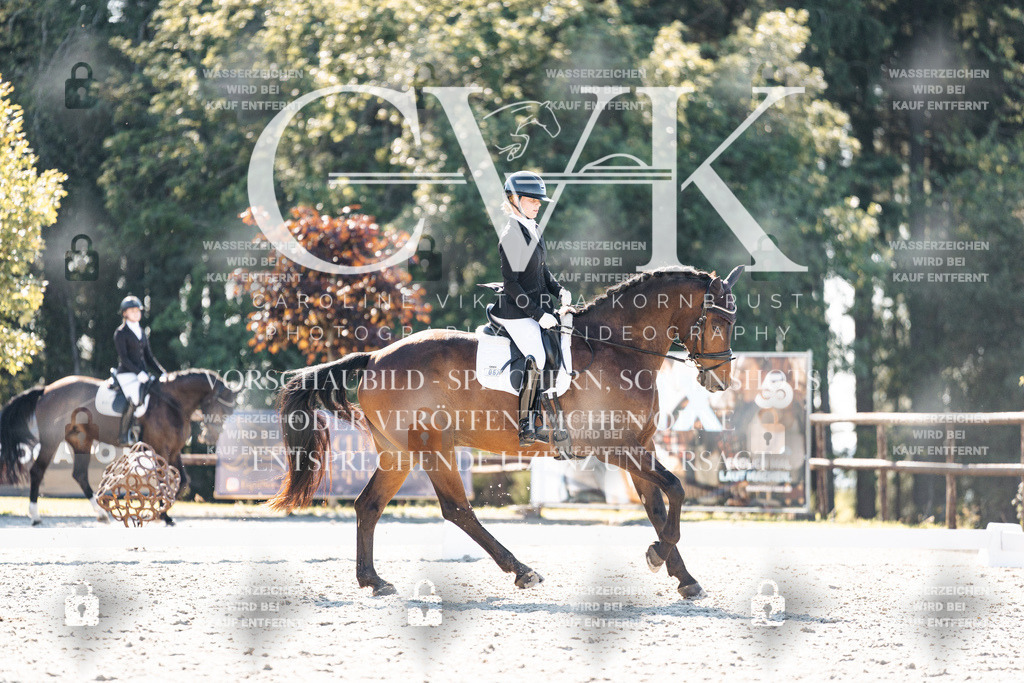 CK905740 | Turnierfotografie Pferdefotografie Trier Rheinland-Pfalz Pferdesport Reitsport Tierfotografie Sportfotografie Pferdevideo Pferdevideografie Equestrianvideography equestrianphotography  - Realisiert mit Pictrs.com