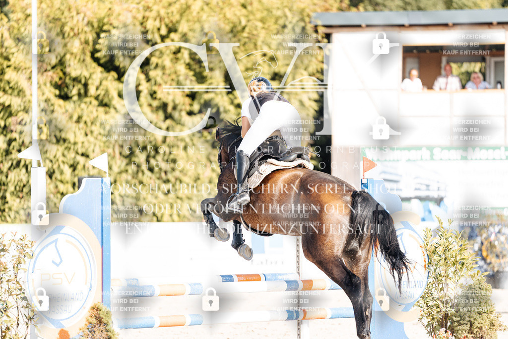 CK909515 | Turnierfotografie Pferdefotografie Trier Rheinland-Pfalz Pferdesport Reitsport Tierfotografie Sportfotografie Pferdevideo Pferdevideografie Equestrianvideography equestrianphotography  - Realisiert mit Pictrs.com
