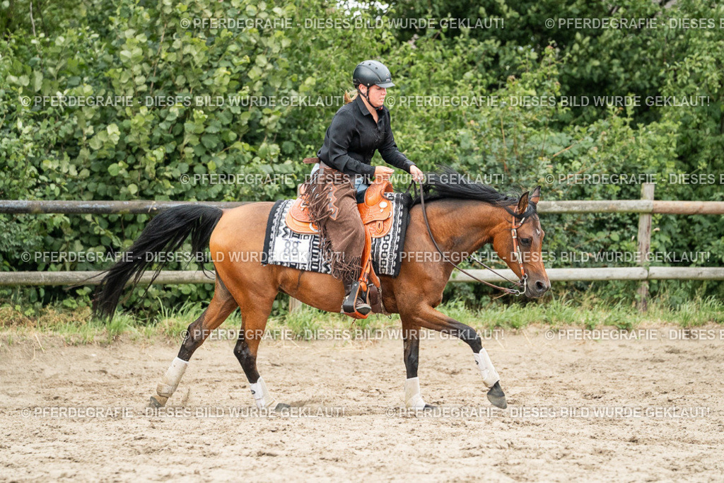 DSC04512 | Pferdegrafie