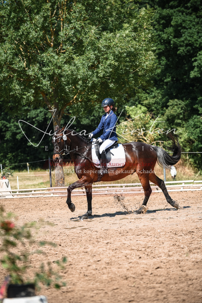 DSC_3384 | Pferde- und Turnierfotografie in Westsachsen. Pferdeportraits, Auftragszeichnungen und intuitive Kunst.