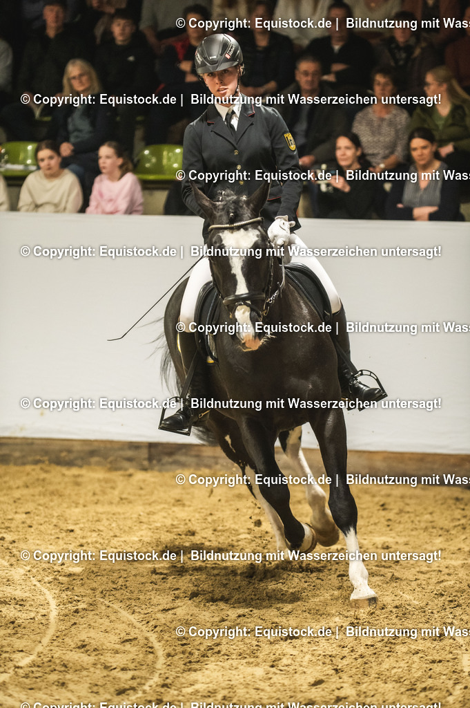 20240302_Hengstvorstellung_Marbach_TOMsPiC_0697-2 | equistock