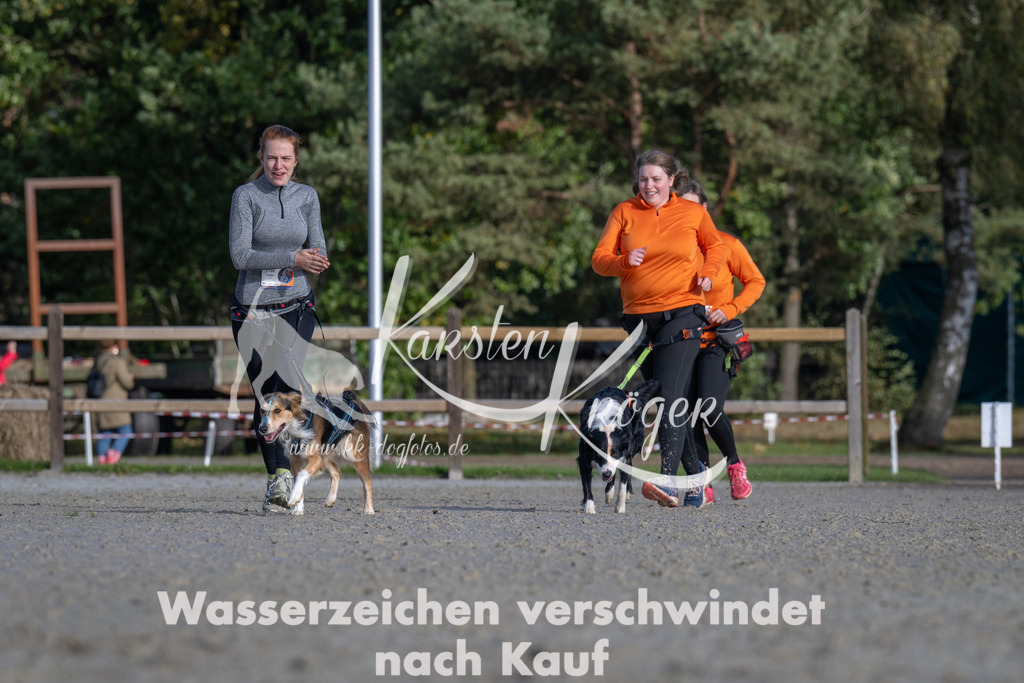 1052-_ZZ93028 | kk-dogfotos