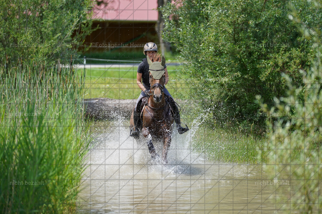 20240622-FAH07180 | Turnierfotografen Bayern, Reitsportbilder aus dem Geländekurs mit Felix Etzel auf dem Gut Waitzacker 2024