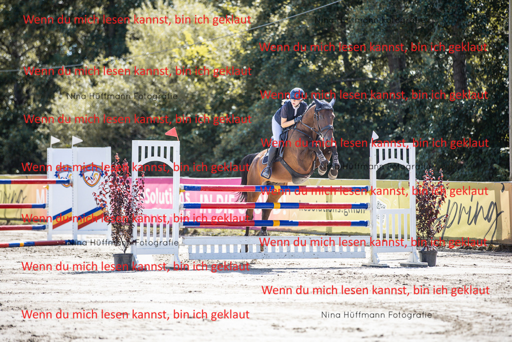 BK1A6637 | Turnierbilder Turnierfotos Nina Hüffmann Turnierfotografie Pferdefotografie Tierzeichnung Haustierzeichnung Pferdezeichnung Hundezeichnung Videograf  - Realisiert mit Pictrs.com