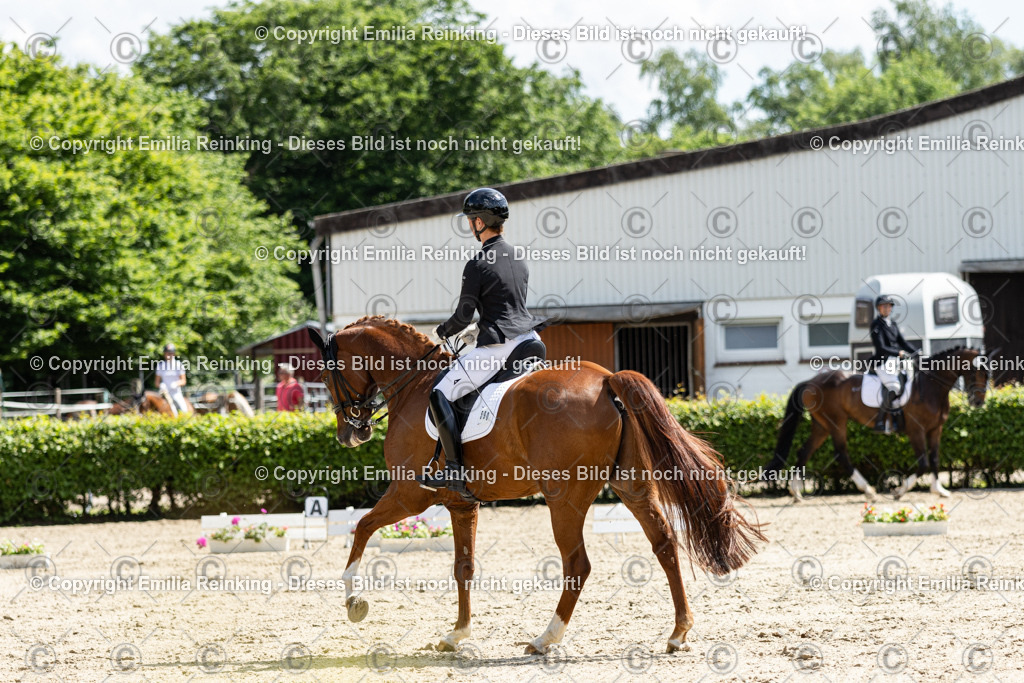 CL5A8421 | Emilia Reinking Fotografie - Realisiert mit Pictrs.com