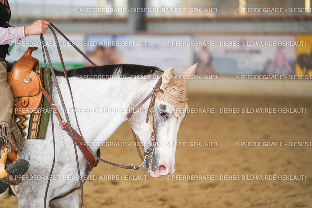 DSC01987 | Pferdegrafie