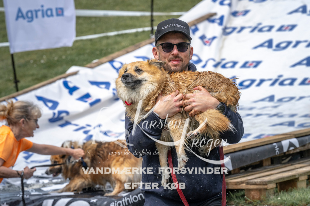 1135_ZZ93037 | kk-dogfotos