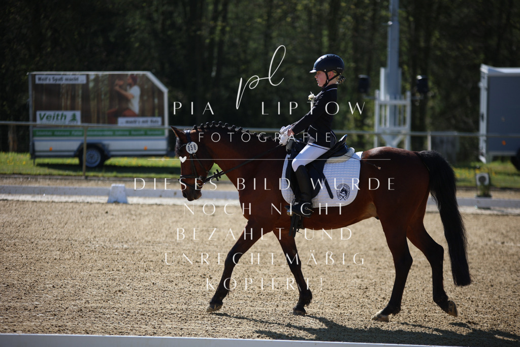 IMGT9466 | pl-fotografie