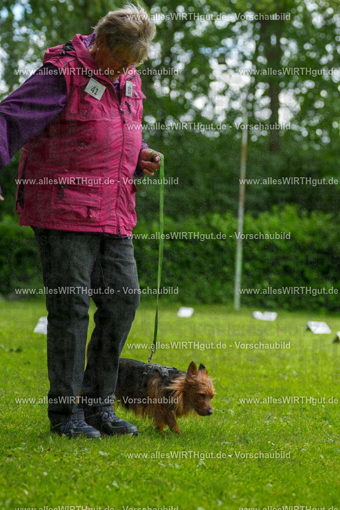 @allesWIRTHgut_Tierfotografie - www.allesWIRTHgut.de - 130709-7R509801 | Professionelle Tierfotografie in Mönchengladbach von Daniel Wirth (allesWIRTHgut). Liebevolle & natürliche Bilder von Hunden & Katzen für unvergessliche Erinnerungen.