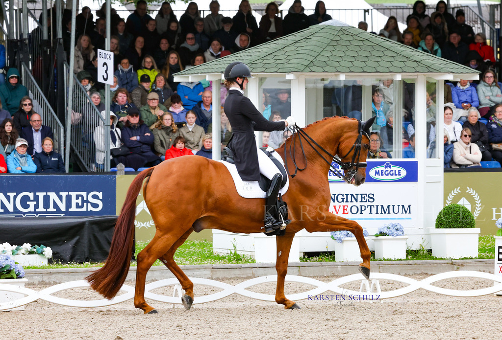 1B3A8580 | Reitsport Reiten