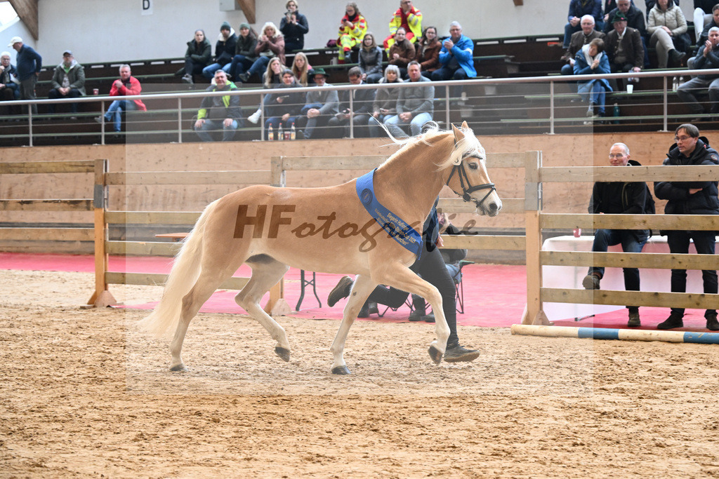 Bl. Band Kat-Nr. 3 Lorena v. Sterlington_Weber_48251602 | hf-fotografie - Realisiert mit Pictrs.com