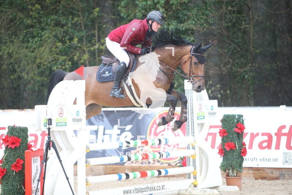 AS8V2152 | Willkommen bei Brunnmayr - Design & Fotografie – Ihrem Spezialisten für Reitturniere und Pferdeveranstaltungen in Oberösterreich, Salzburg und Bayern! Seit über 17 Jahren sind wir leidenschaftlich dabei.