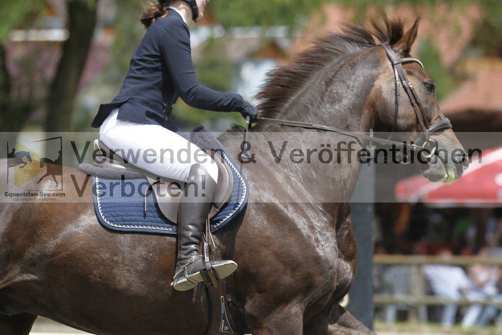 _MG_5237 | equestrian-live-com