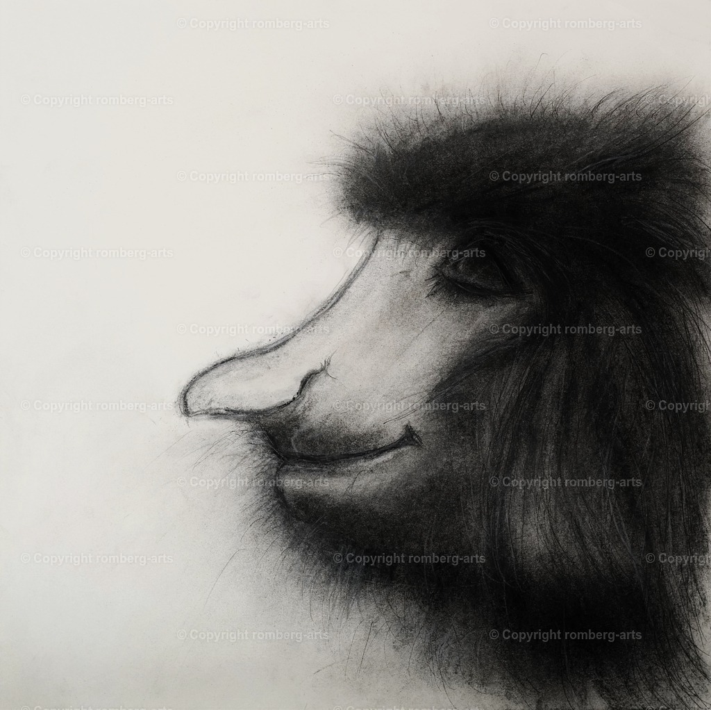 L1020092 (2) | romberg-arts, romberg-arts.de, www.romberg-arts.de, Foto_Online_Shop, Julia Fuhrmann, Köln, Fotos, Fotografie, Fotokunst, Kunstdrucke, Naturfotos, Aktfotos, Nacktfotos, schwarz_weiß_Fotos, Blumenfotos, Blumen, Tiere, Beton, Korrosion, Lächeln, Drucke