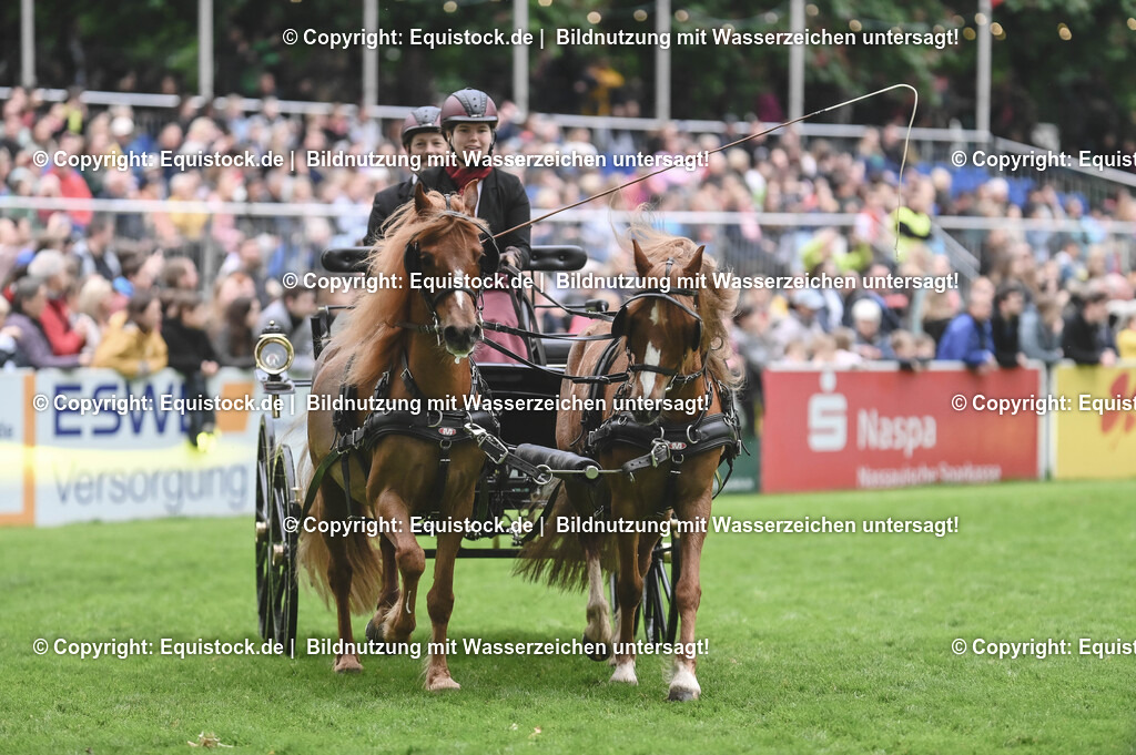 20240517_Lange-Pferdenacht_0151 | Foto: Thomas Hartig