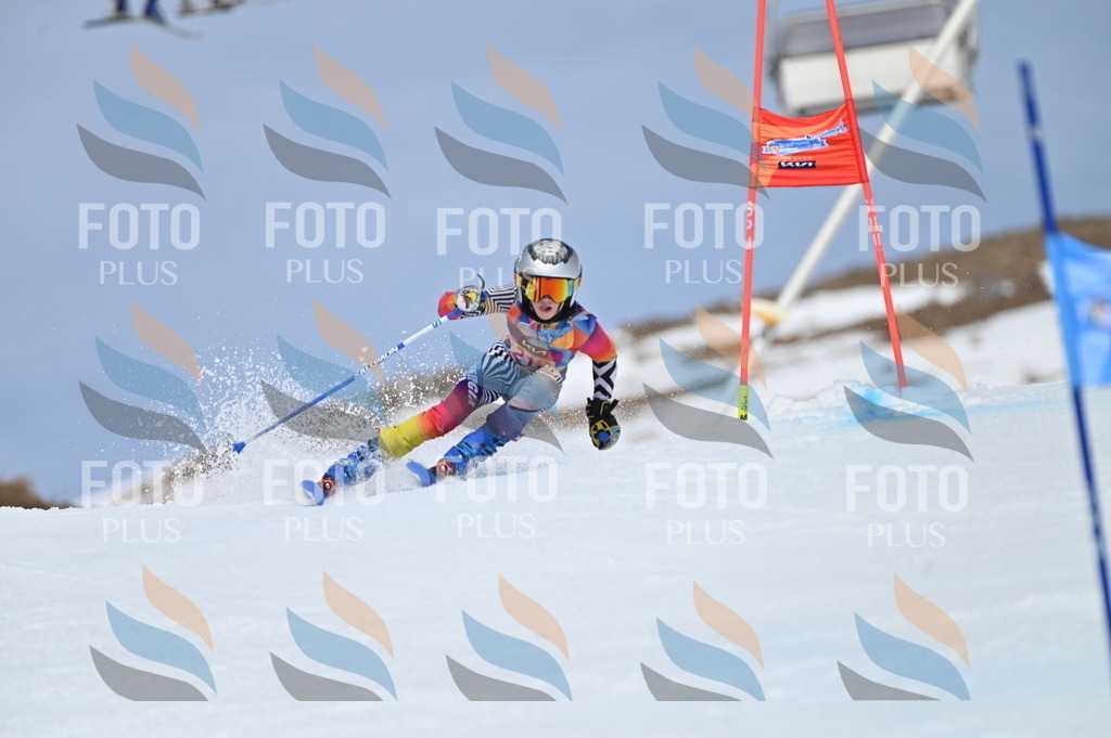 BGV_1286 | holidayphoto