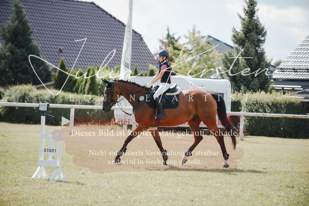 DSC_5382 | Pferde- und Turnierfotografie in Westsachsen. Pferdeportraits, Auftragszeichnungen und intuitive Kunst.