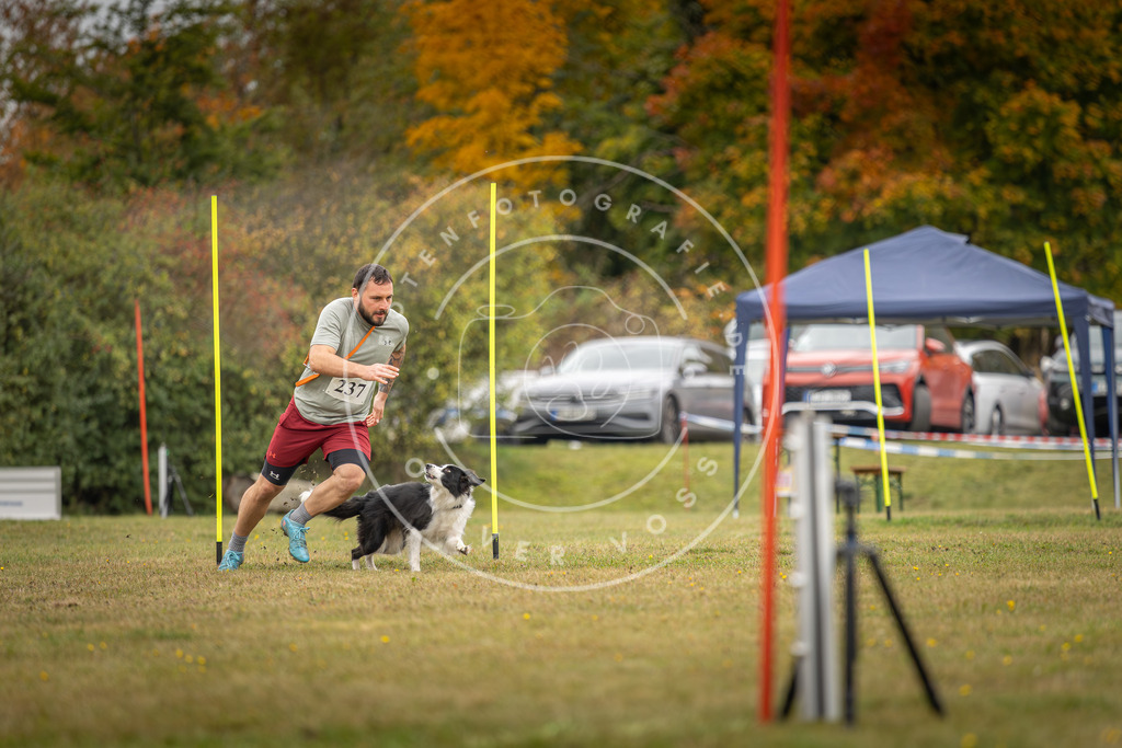 Pfotenfotografie_DV3A5277 | Hundefotografie, Tierfotograf, Pfotenfotografie, Fotoshooting Hund, Hunde Portrait, Hundesport, Hundeportraits, Heideshooting, Hunde, Sportfotograf, Hundefotograf, Turnierhundsport, THS,  - Realisiert mit Pictrs.com