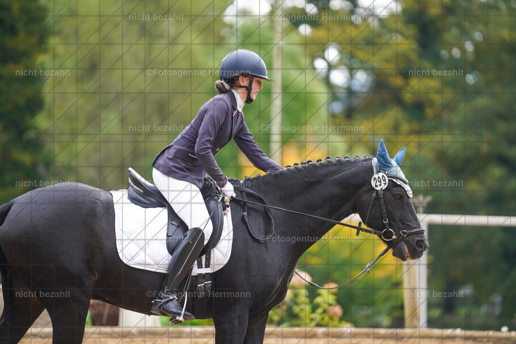 20221008-FAH01026 | Diessen am Ammersee, 2022, Dressur- und Springturnier, Reitsportbilder, Turnierfotografen Bayern, Pferdefotografen, Fotoagentur Herrmann, Turnierbilder