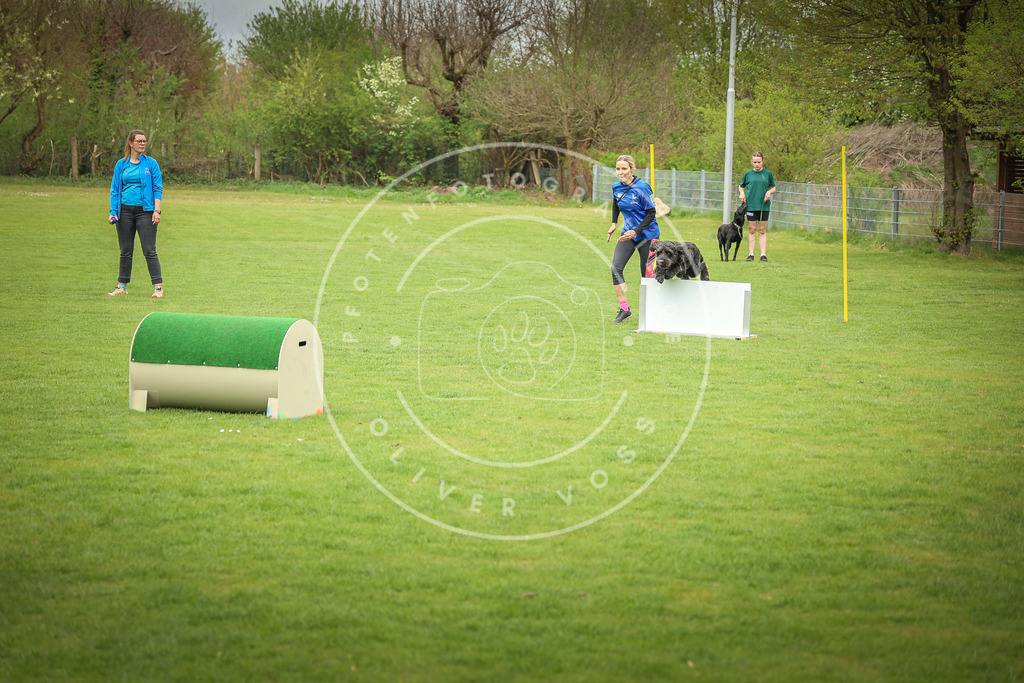 Pfotenfotografie_0L8A9857 | Hundefotografie, Tierfotograf, Pfotenfotografie, Fotoshooting Hund, Hunde Portrait, Hundesport, Hundeportraits, Heideshooting, Hunde, Sportfotograf, Hundefotograf, Turnierhundsport, THS,  - Realisiert mit Pictrs.com