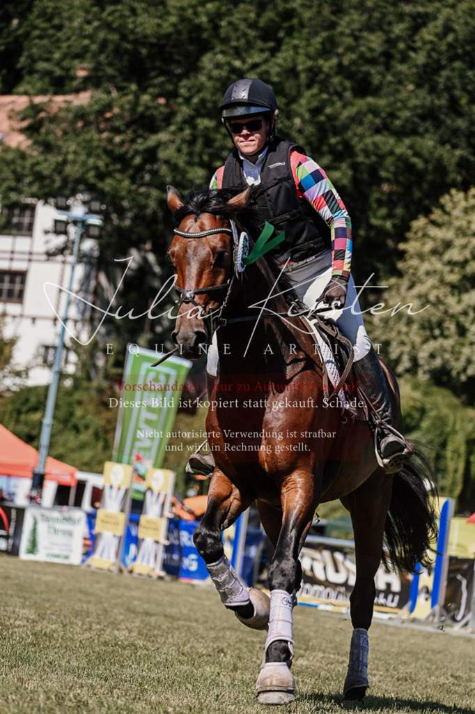 DSC_2611 | Pferde- und Turnierfotografie in Westsachsen. Pferdeportraits, Auftragszeichnungen und intuitive Kunst.