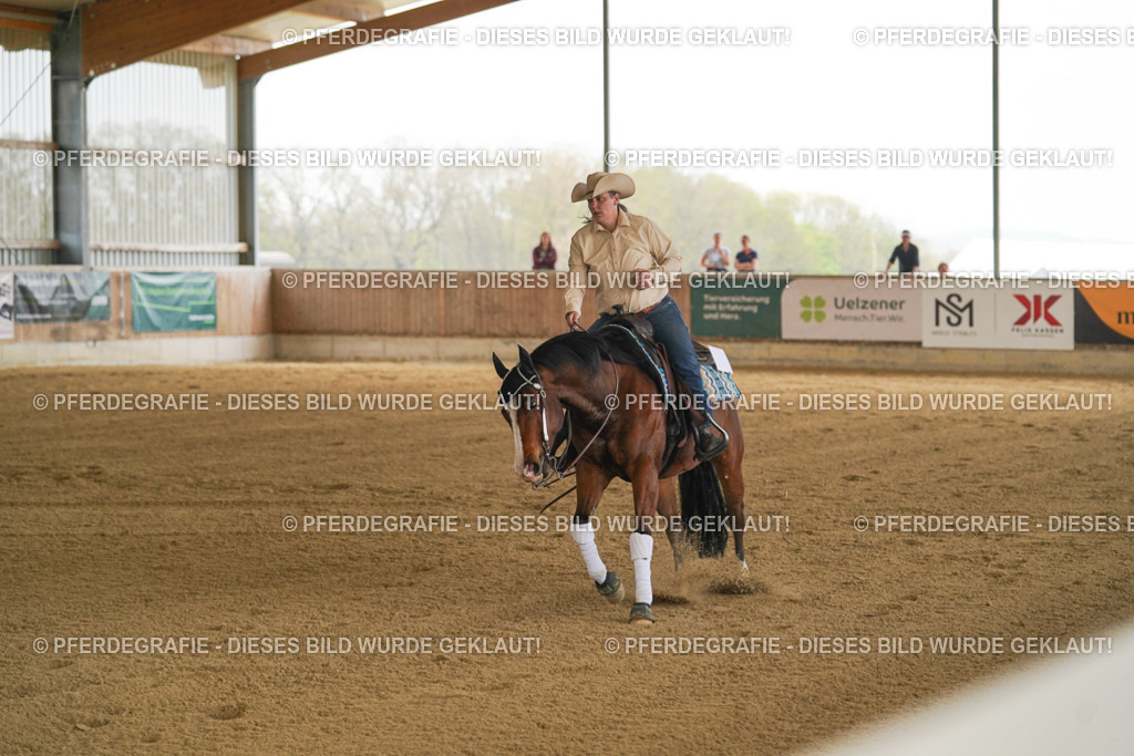 DSC07131 | Pferdegrafie