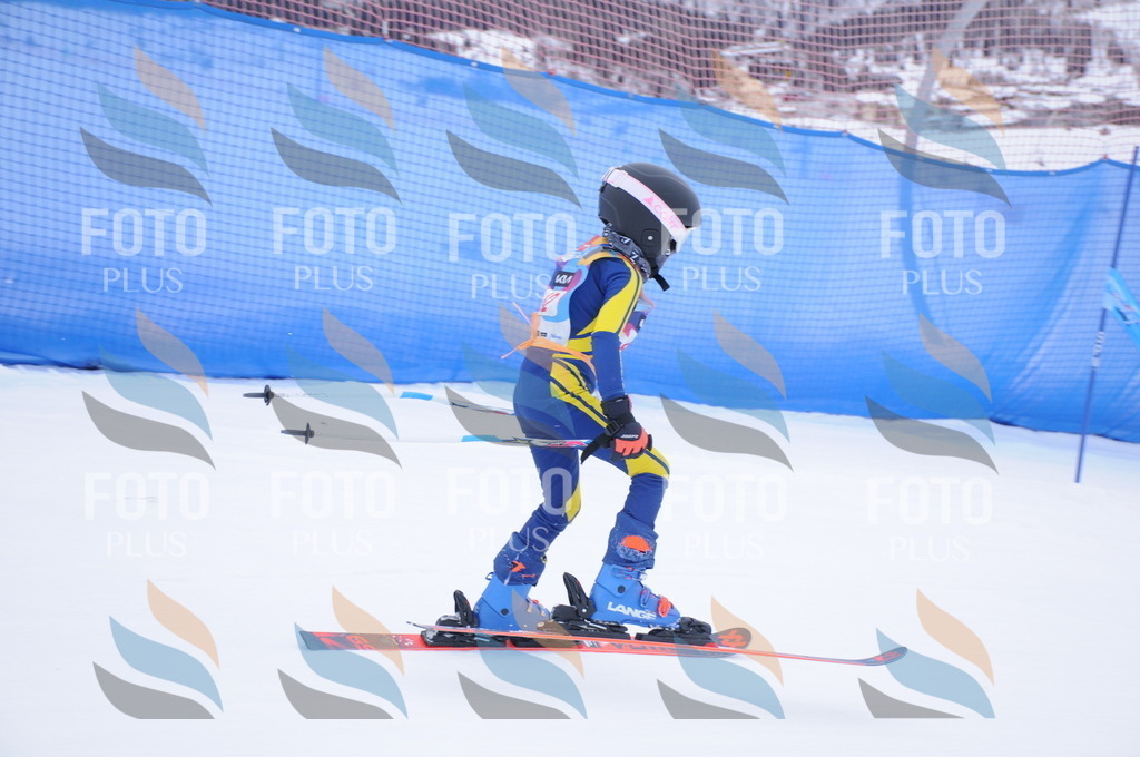 DSC_7874 | holidayphoto